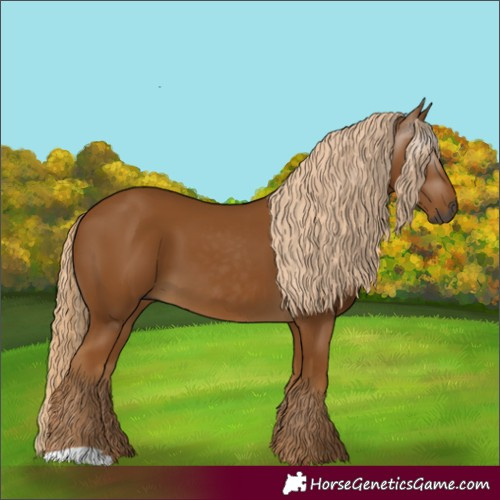 Horse Color:Gray Palomino
