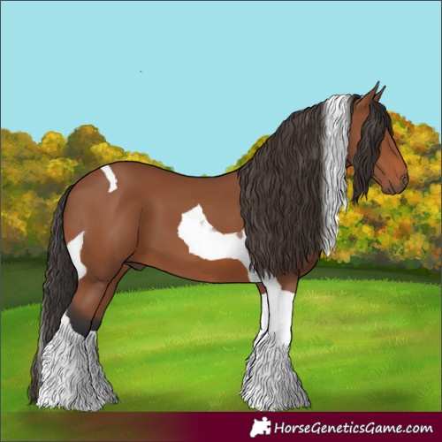 Horse Color:Bay Tobiano 
