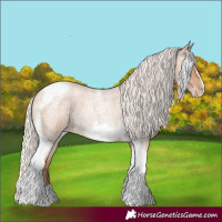 Horse Color:Silver Blue Roan Pearl Tobiano Frame
