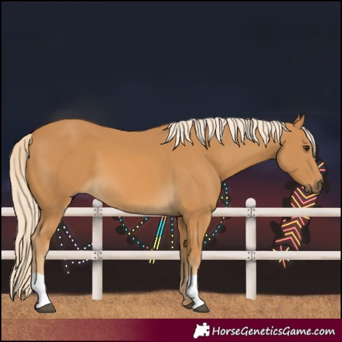 Horse Color:Palomino 