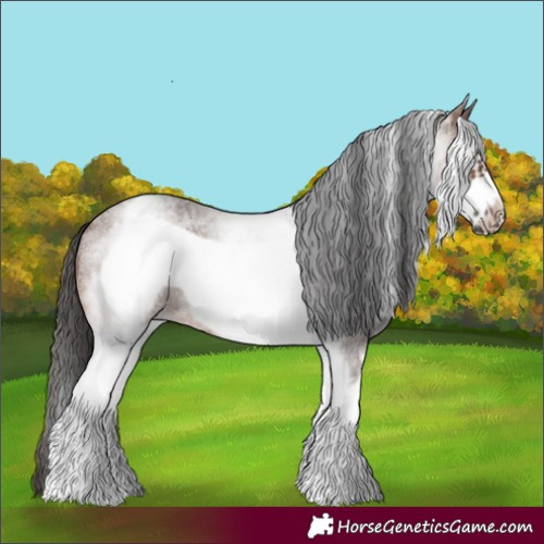 Horse Color:White Spotted Brown Roan Frame 