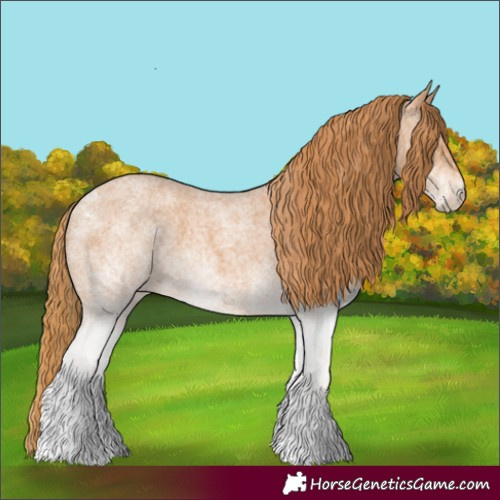 Horse Color:White Spotted Red Roan 