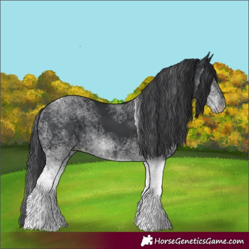 Horse Color:Unknown 