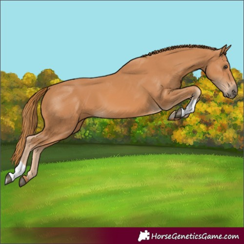 Horse Color:Unknown 