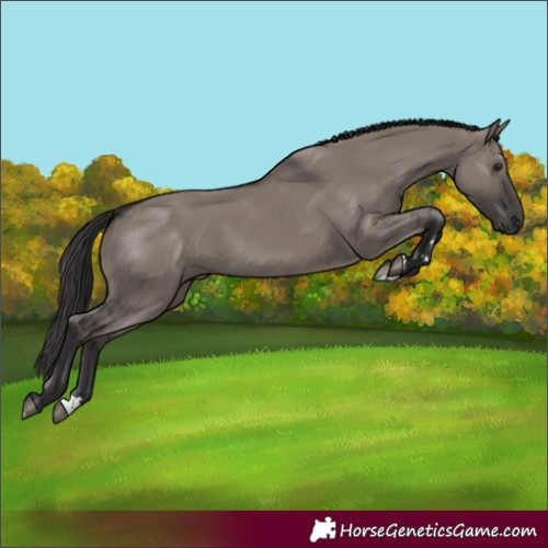Horse Color:Smoky Grullo