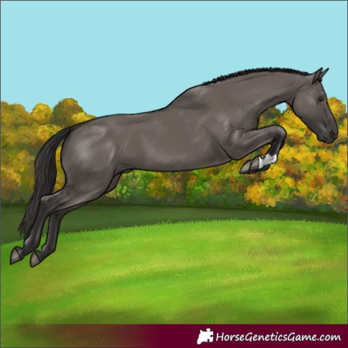 Horse Color:Smoky Grullo 