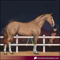 Horse Color:Red Dun Splash  and Red Dun Splash 