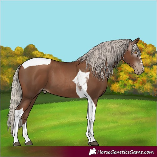 Horse Color:Gray Silver Black Pearl Tobiano 