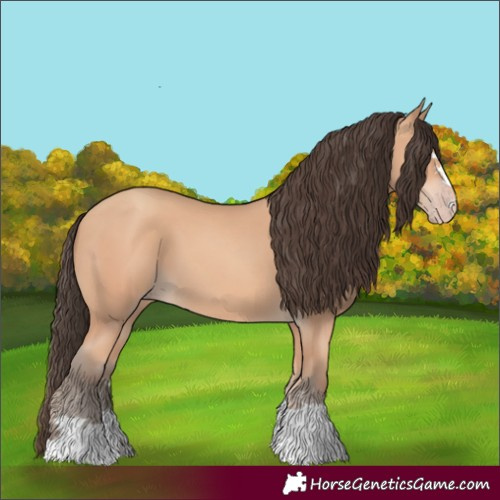 Horse Color:Amber Champagne 