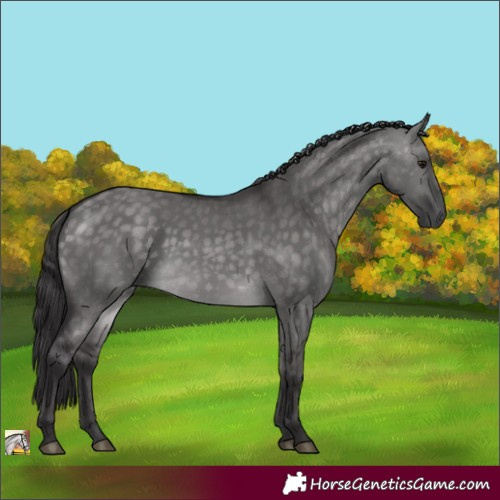 Horse Color:Platinum Buckskin Dun Rabicano 