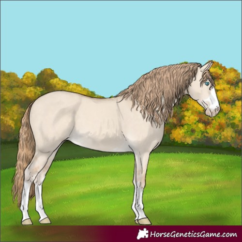 Horse Color:Perlino Dun