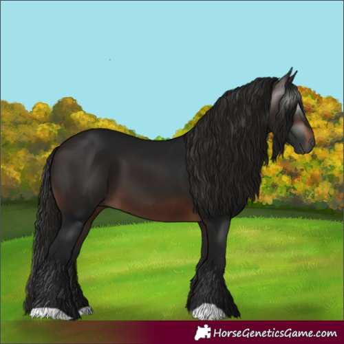 Horse Color:Gray Bay 