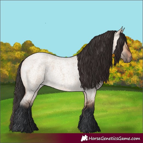 Horse Color:Bay Roan Dun