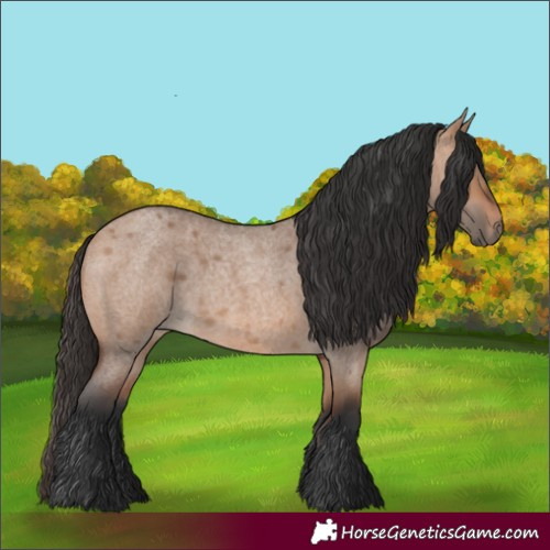 Horse Color:Bay Roan Dun