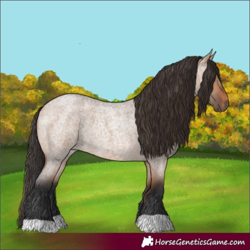 Horse Color:Bay Roan Dun
