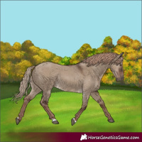 Horse Color:Liver Red Dun Rabicano