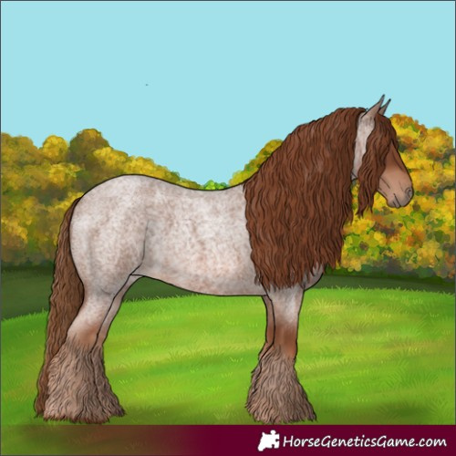 Horse Color:Red Roan