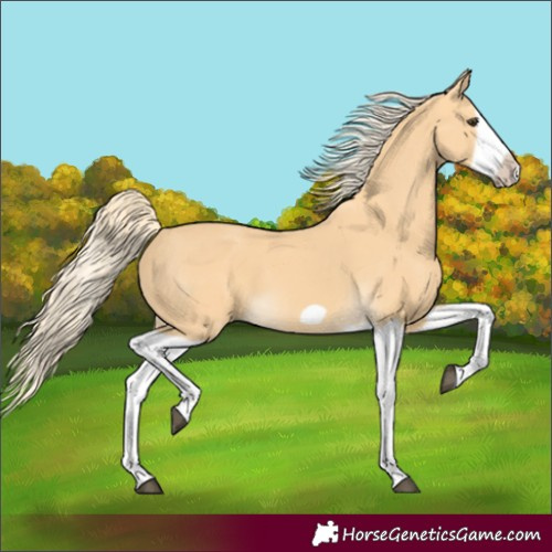 Horse Color:Palomino Splash Frame 