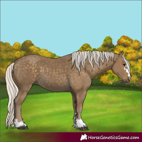 Horse Color:Silver Smoky Black 