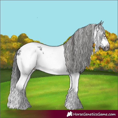 Horse Color:White Spotted Black Splash Tobiano Frame Appaloosa