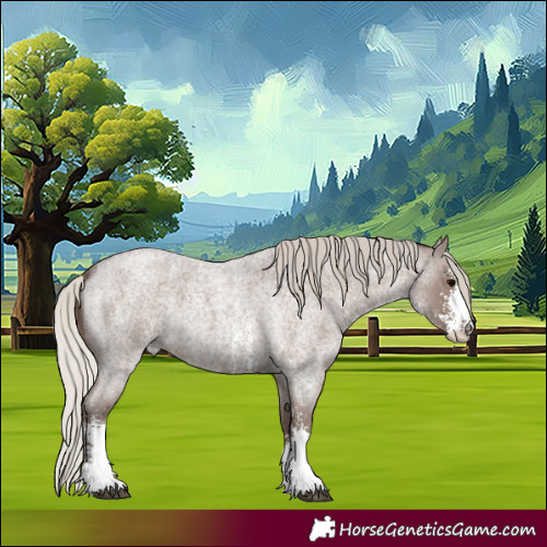 Horse Color:Silver Blue Roan Sabino