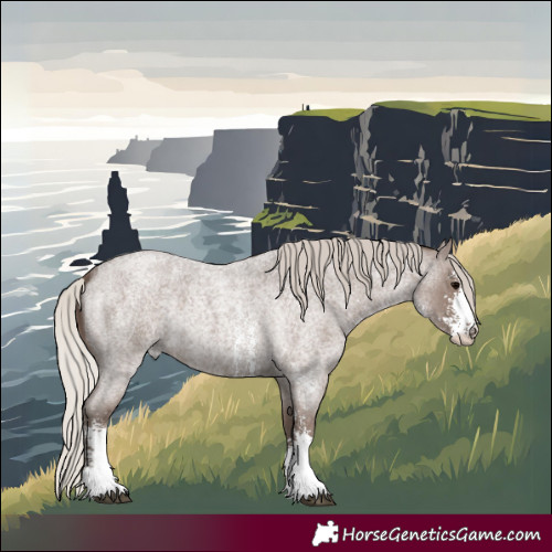 Horse Color:Silver Blue Roan Sabino 
