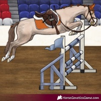 Horse Color:Amber Champagne Varnish 