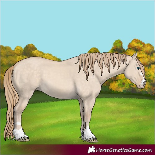Horse Color:Perlino Dun