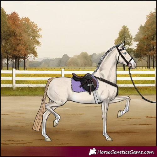 Horse Color:Perlino Dun 