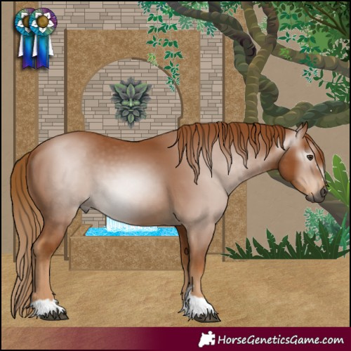 Horse Color:Gray Chestnut