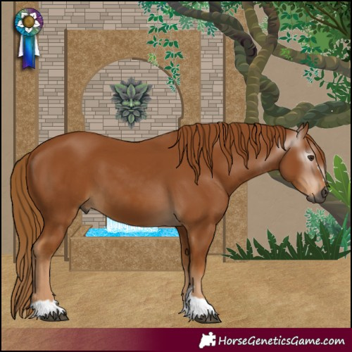 Horse Color:Gray Chestnut 