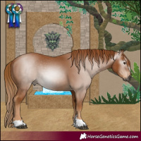 Horse Color:Gray Chestnut