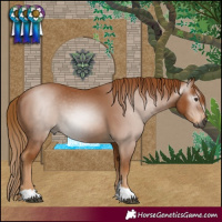 Horse Color:Gray Chestnut