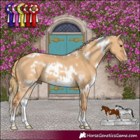 Horse Color:White Spotted Red Dun Sabino 