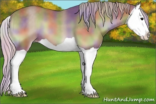 Horse Color:Nacre Chocolate Silver Blue Onyx Splash 
