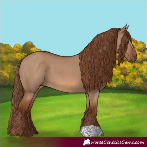 Horse Color:Red Dun 