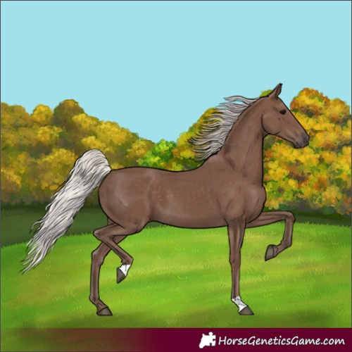 Horse Color:Silver Black 