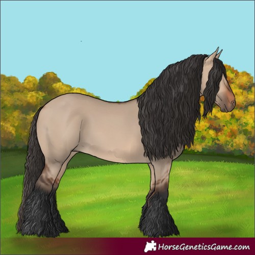Horse Color:Bay Dun 