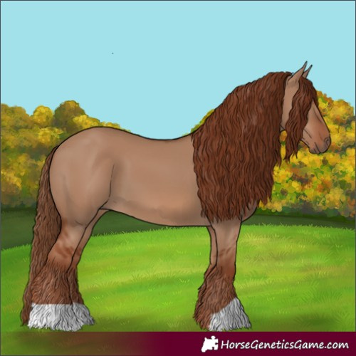 Horse Color:Red Dun