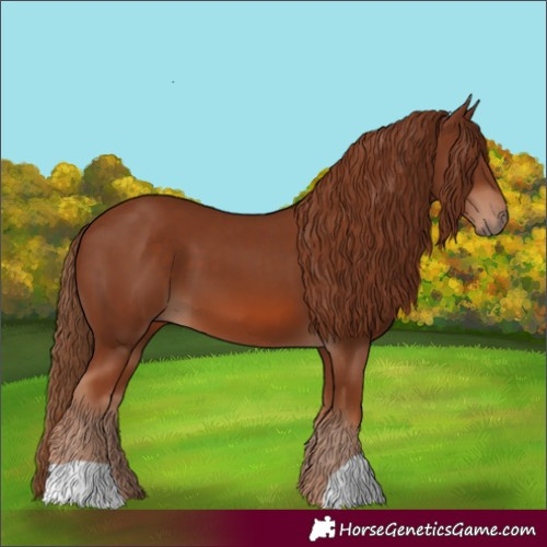 Horse Color:Chestnut 