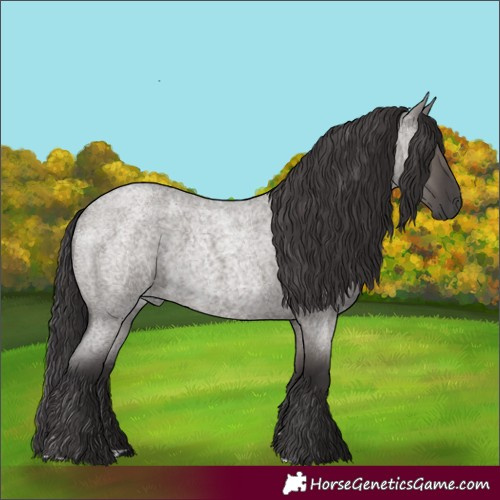 Horse Color:Smoky Grullo Roan