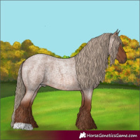 Horse Color:Red Roan