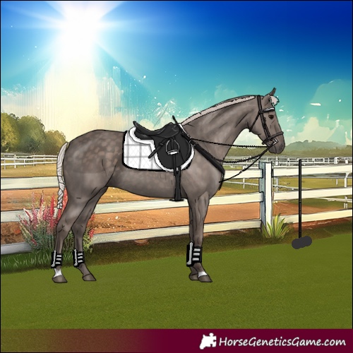 Horse Color:Silver Black
