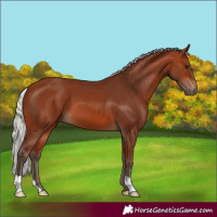 Horse Color:Silver Brown
