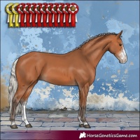 Horse Color:Silver Bay Sabino