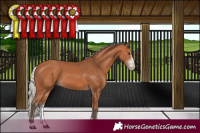 Horse Color:Silver Bay Sabino 