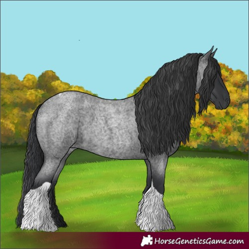 Horse Color:Blue Roan Tobiano 