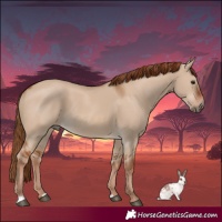 Horse Color:Red Dun