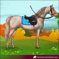 Horse Color:Red Roan
