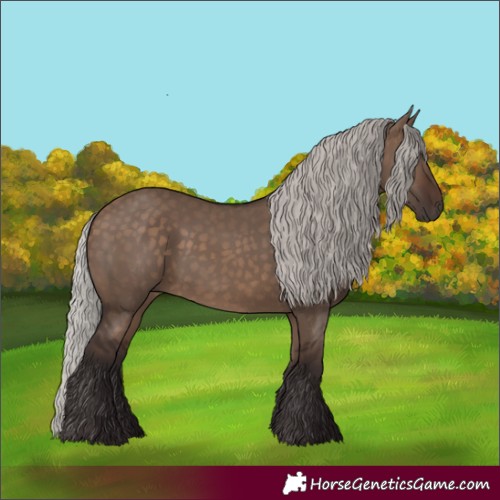 Horse Color:Silver Brown Dun 